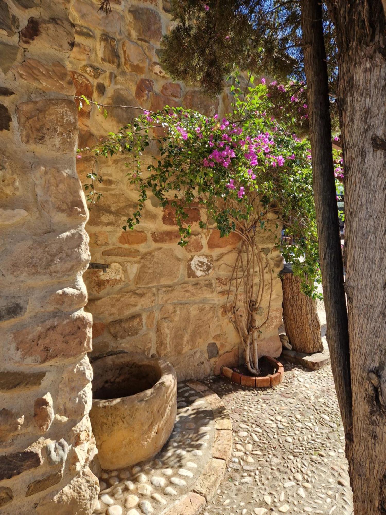 Colonos Alojamientos Rurales Guarroman Exterior photo